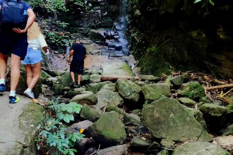 Rio de Janeiro: Tijuca Caves Guided Hike with Park Entry