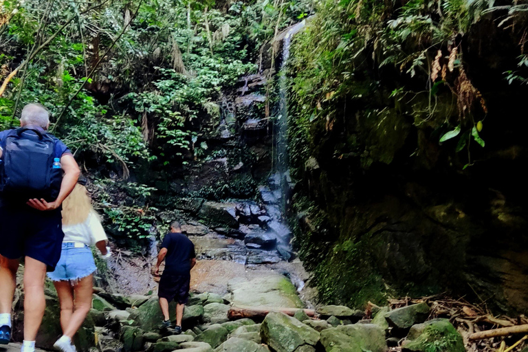 Rio de Janeiro: Tijuca Caves Guided Hike with Park Entry