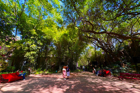Ciudad de México: visita guiada al castillo y bosque de Chapultepec