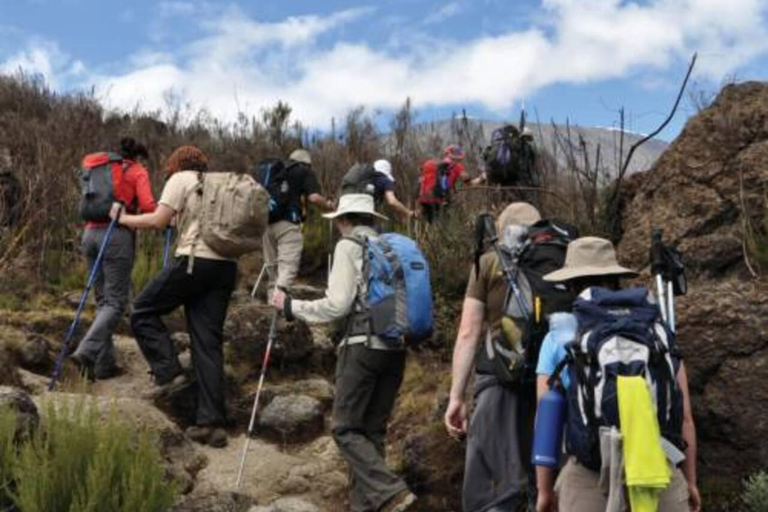 莫希：5 天吉力马扎罗山徒步和游猎莫希：5 天吉力马扎罗山徒步和观光车之旅