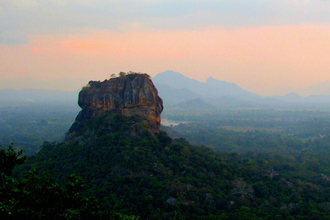 Day Tour from Colombo to Sigiriya & Minneriya Wild Safari From Colombo: Sigiriya and Dambulla Day Trip For Senior 85+