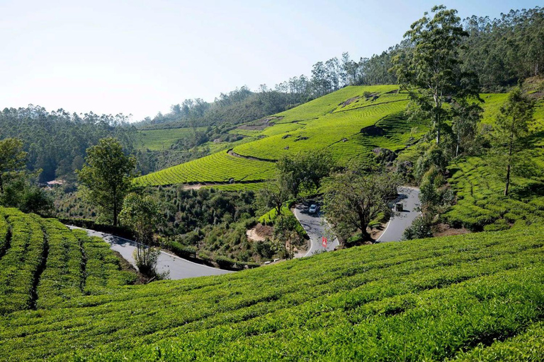 From Kochi:- 02 Days Munnar Hill Station & Nature Walk Tour 02 Days Munnar and Nature Walk Tour with 05- Star Hotel