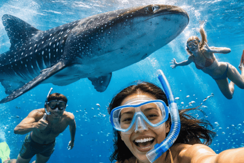 Cebu: Oslob Whale Sharks, Kawasan Fall & Moalboal Sardines Cebu: Whalesharks, Canyoneering & Sardines Run Snorkeling