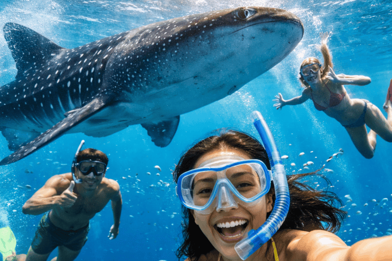 Cebu: Oslob Whale Sharks, Kawasan Fall & Moalboal Sardines Join/Shared Tour Option