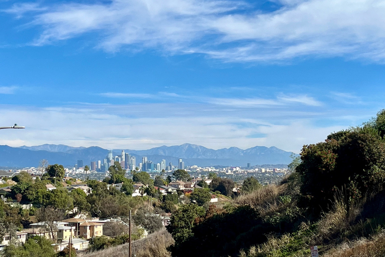 Los Angeles: South LA Black History Guided Driving Tour