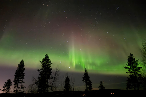 Northern Lights Rovaniemi Guaranteed & Unlimited KM Hunting