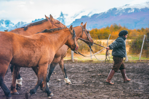 El Calafate: Nibepo Aike Ranch med hästridning