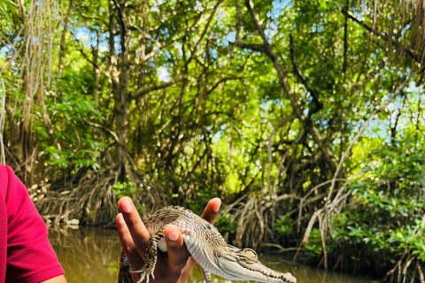 Bentota River Safari with Bazaar from ahungalla