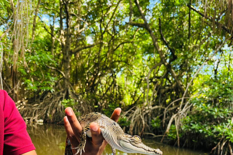 Bentota River Safari with Bazaar from ahungalla
