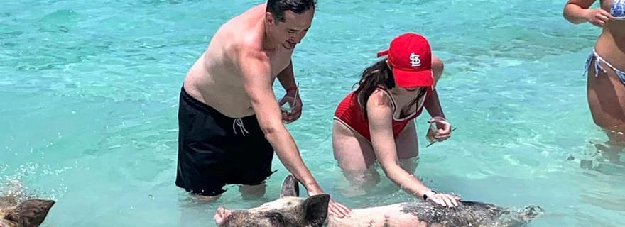 Meilleure excursion à Nassau : cochons, plongée avec tuba et aventure sur la plage