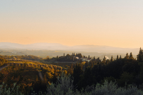 Martina Franca: Masseria Tour with Pasta & Mozzarella Class