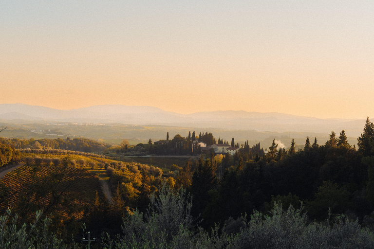Martina Franca: Masseria Tour with Pasta & Mozzarella Class