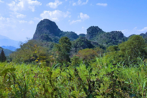 Luang Prabang Mountain Trek to Kuang Si Waterfall with Lunch