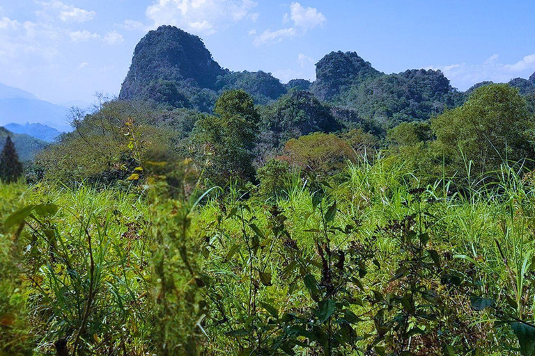 Luang Prabang Mountain Trek to Kuang Si Waterfall with Lunch