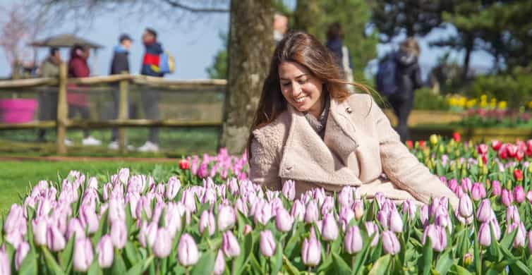 Amsterdam: Keukenhof Entry & Shuttlebus with Flexible Return photo 17