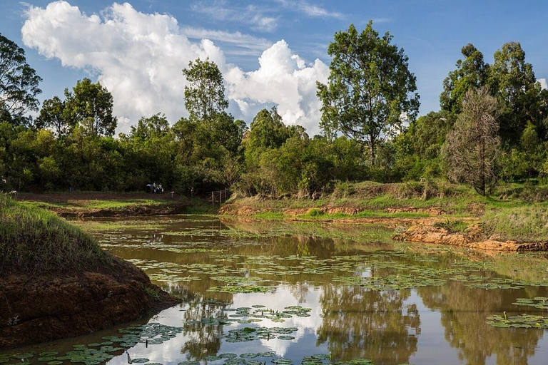 内罗毕：卡鲁拉隐藏瀑布徒步与森林野餐