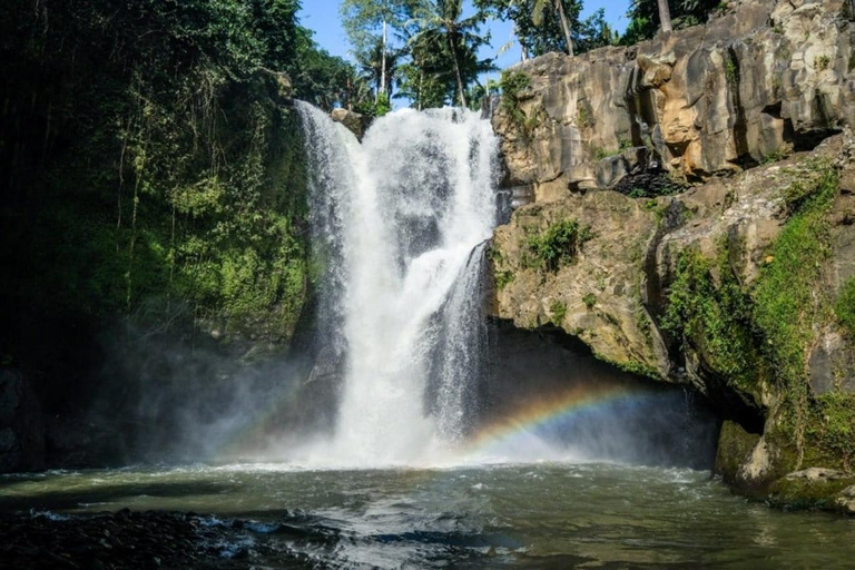 Ubud Monkey Forest, Temple, Rice Terrace and Jungle SwingUbud Tour - All Inclusive