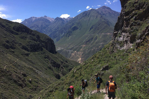 Caminata dentro del Cañón del Colca 2 DÍAS con comidas en Arequipa