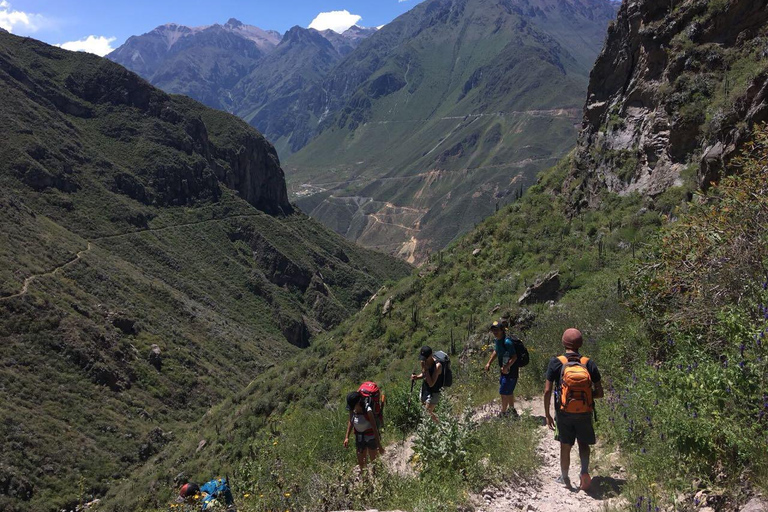 Caminata dentro del Cañón del Colca 2 DÍAS con comidas en Arequipa