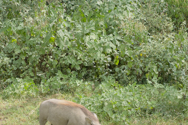 Lake Camping, Hell’s Gate, Quad bike & Crater Lake Naivasha
