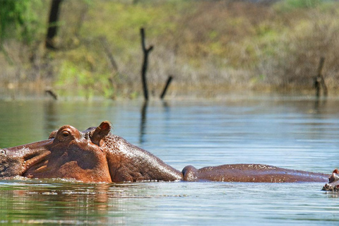 Private Day Tour to Lake Baringo from Nairobi