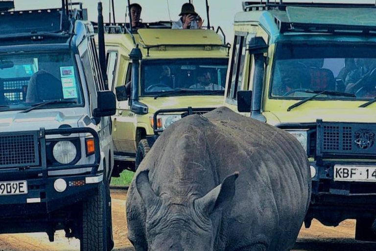 Nairobi National Park Game Drive Safari With Pick-Up