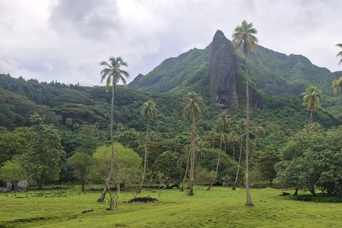 Raiatea : Visite Privée Île Sacrée, Marae UNESCO, Perles & Nature