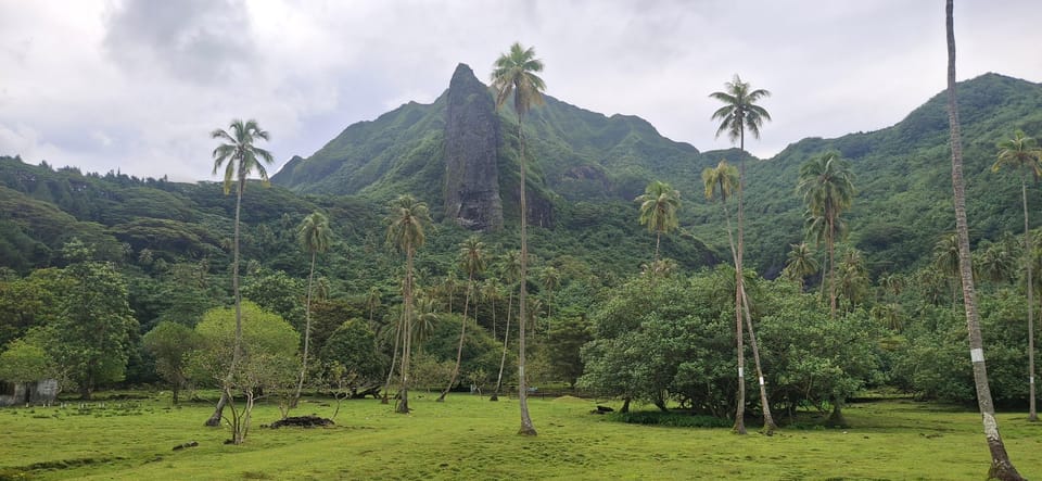 Raiatea : Visite Privée Île Sacrée, Marae UNESCO, Perles & Nature
