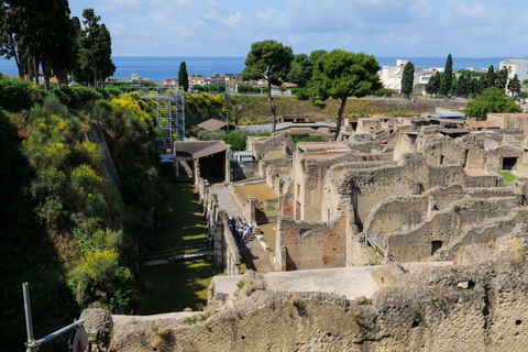 Discover Herculaneum: Guided tour in English of the ancient Roman city Guided tour in English with return train ticket from Naples