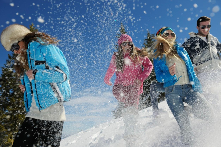 From Tokyo 2-day ski & snowboard tour with rentals