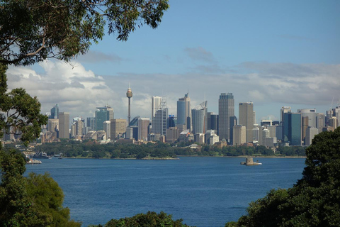 Sydney Street Food Tour: 8 Tastings & Drink by a Local Guide Sydney: 3 Hours Small Group Food Tasting Walking Tour