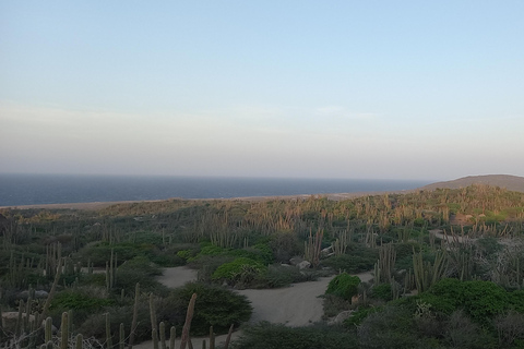 Aruba: Sunrise Natural Pool Hike & Swim Without the Crowds