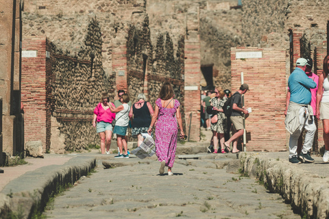 Naples: Skip-the-Line Pompeii Ticket & Round-Trip Bus