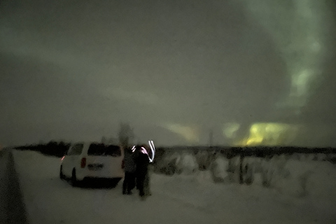 Excursion en minibus dans le parc national d'Abisko pour observer l'aurore boréale