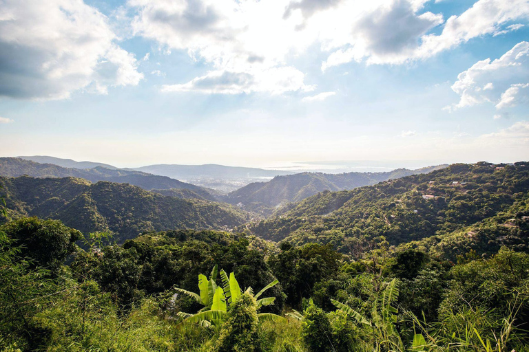 Jamaïque : Visite d&#039;une jounée des Montagnes Bleues avec brunch et déjeunerJamaïque : Circuit des Montagnes Bleues