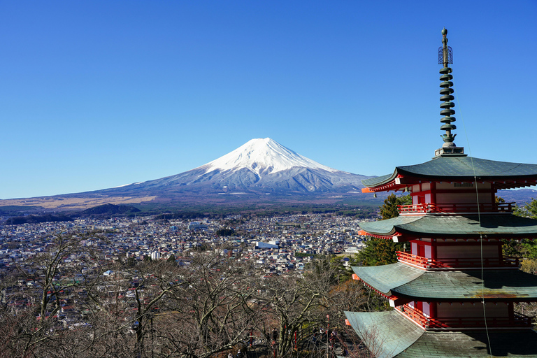 طوكيو: جولة خاصة قابلة للتخصيص ليوم كامل في جبل فوجي