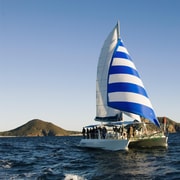 Nelson Bay: Dolphin Watch Cruise and Sail