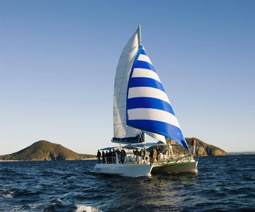 Nelson Bay: Cruzeiro de observação de golfinhos e vela