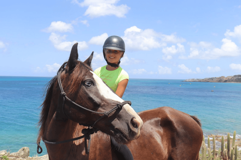 Punta Cana: Swim & Ride Horse on Caribbean Beach & Transport