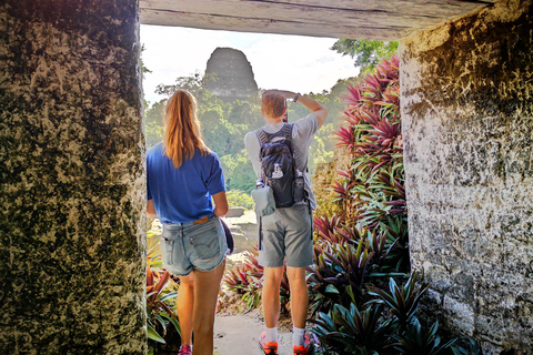 Tikal Sunrise, Archeological focus and Wildlife Spotting From El Remate Hotels and Airbnbs.