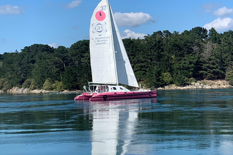 Bay of Quiberon or Morbihan gulf: Evening 2 hours navigation From La Trinité-sur-mer - Quiberon Bay