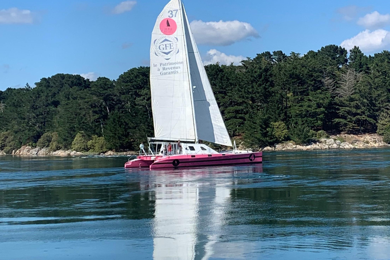 Bay of Quiberon or Morbihan gulf: Evening 2 hours navigation From La Trinité-sur-mer - Quiberon Bay