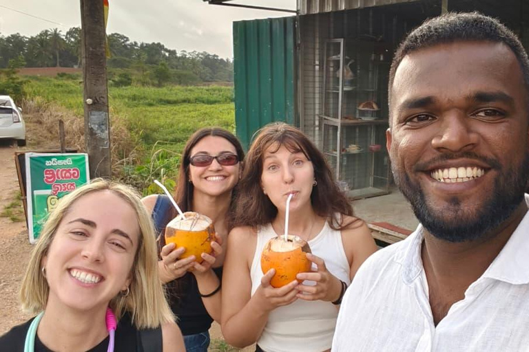 阿鲁甘湾：科伦坡/机场/尼甘布接送及游览服务阿鲁甘湾：科伦坡、机场或尼甘布接送及游览服务