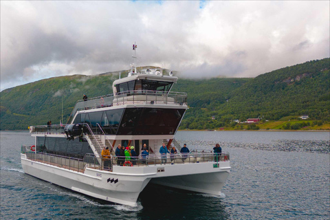 Tromsø: Summer Arctic Light Cruise with a Guide Tromsø: Midnight Sun or Sunset Cruise with a Guide