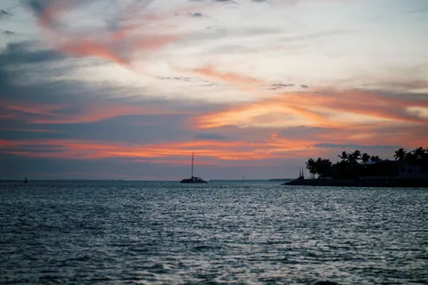 Captain's Choice: Dolphin Watch Sunset Sail