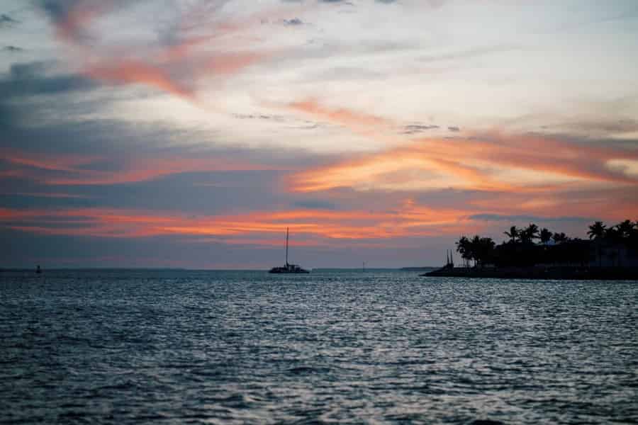 Die Wahl des Kapitäns: Delfinbeobachtung bei Sonnenuntergang. Foto: GetYourGuide