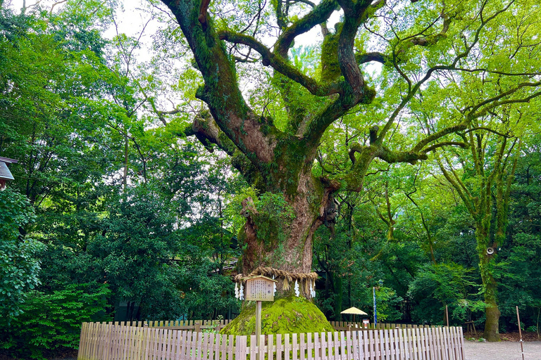 Private Tour Nagoya. Nagoya Heritage & Modernity