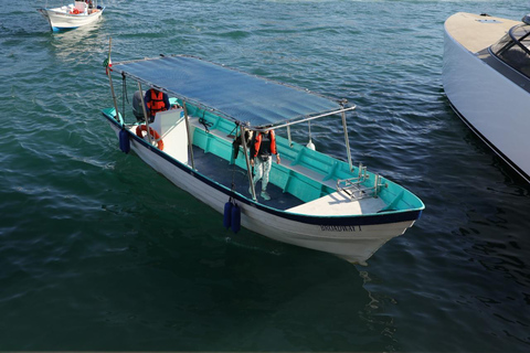 Los Cabos: Whale Watching and Safari