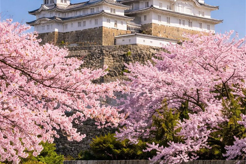 Osaka/Kyoto:Ono Sakura & Himeji Castle Cultural Day Trip Small Group(from/to Osaka)