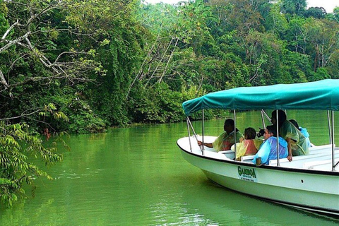 Panama City : Tour en bateau du lac Gatun et de l&#039;île aux singes